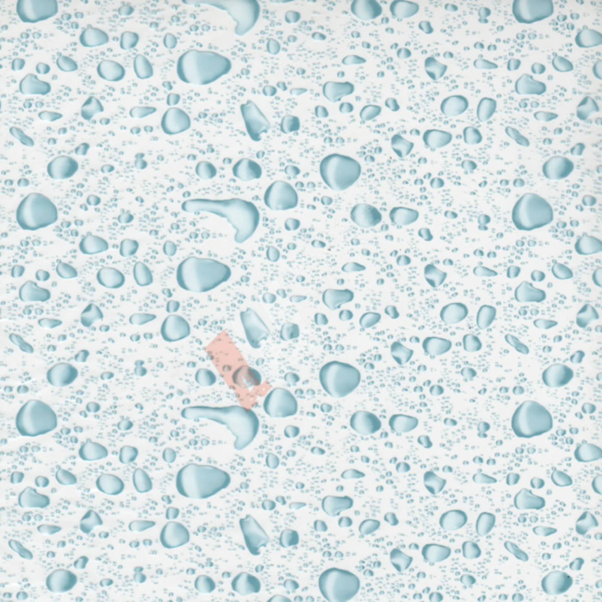 WC-IL-006