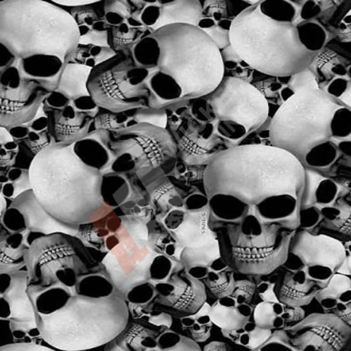 bone head YH-D011A