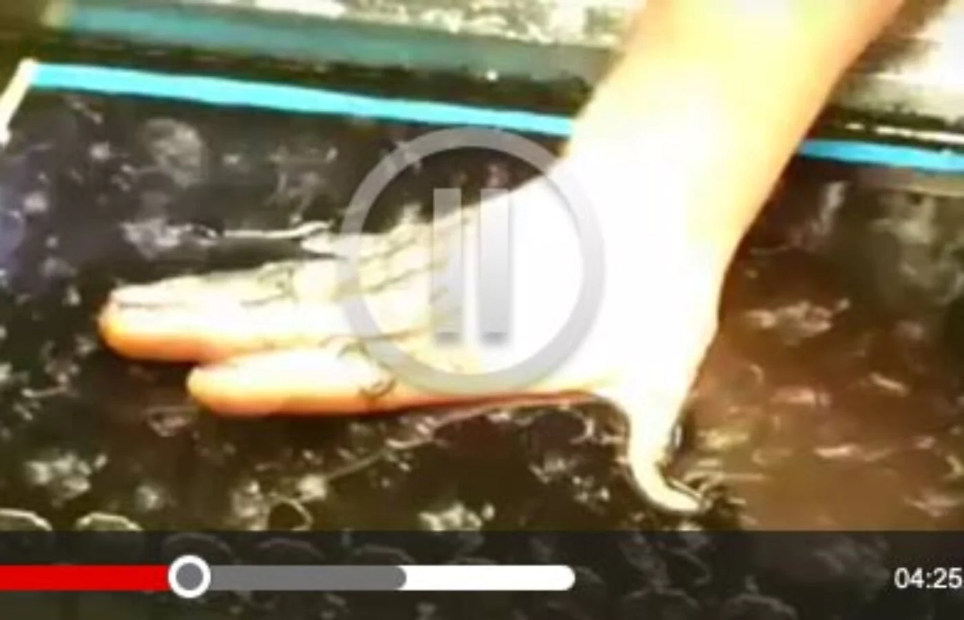 Hydro Dipping Process – See Carbon Dipping In Action