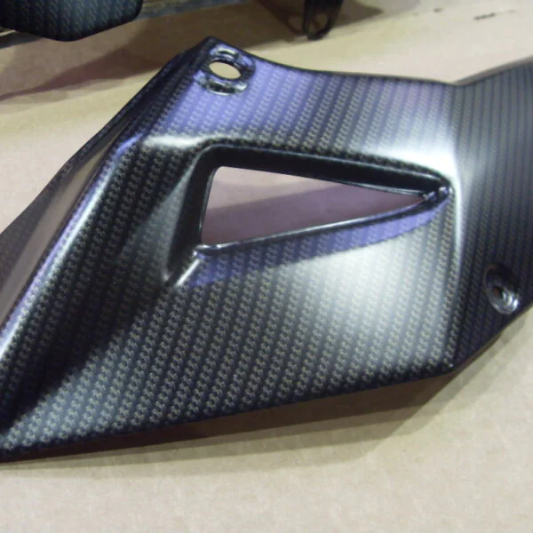 Carbon dipped motorbike front