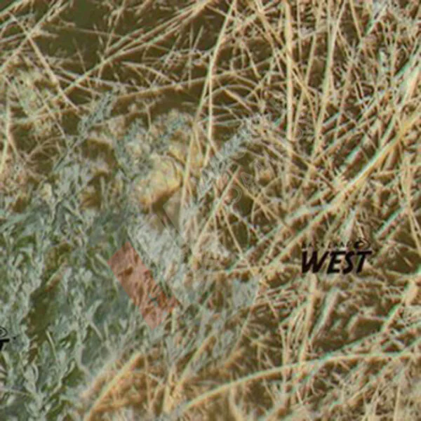 WTP-331