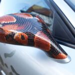 Snakeskin hydro dipping for wing mirror