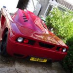 rear view of custom paint job by Wicked Coatings