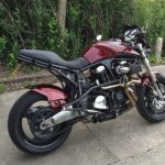 Side view of buell red skull pattern dip