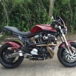 Buell with skull effect dip