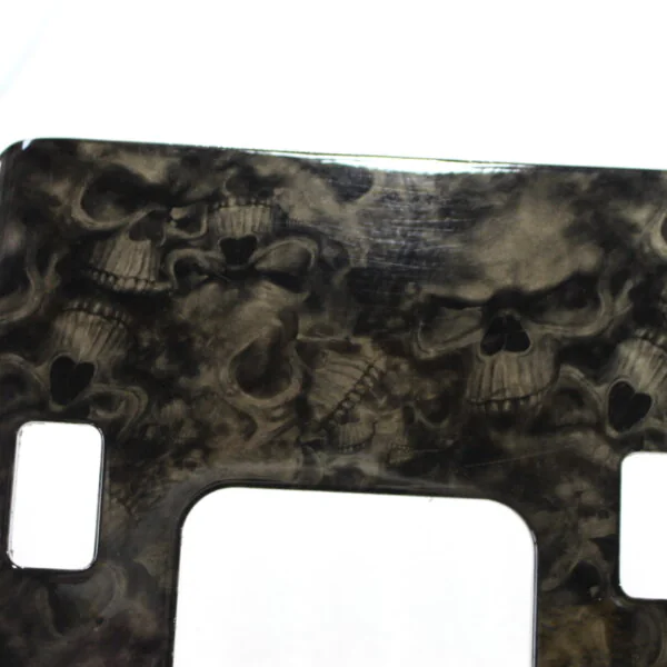 Parts of car interior coated in skull