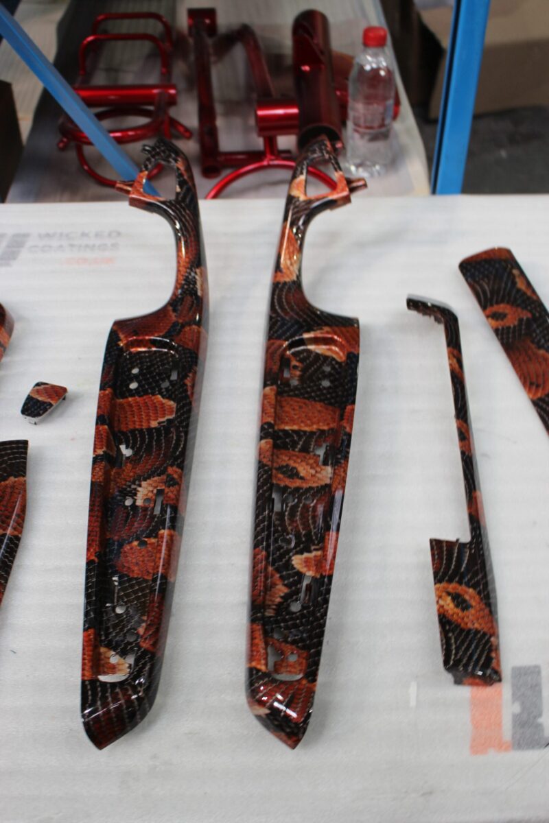 Car interior elements coated in snake hydrographic film – Wicked Coatings