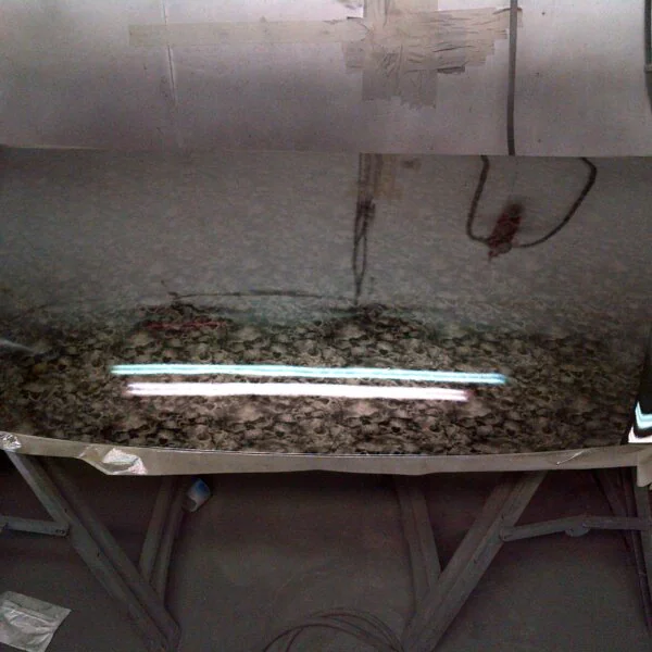 Car hood coated in skull
