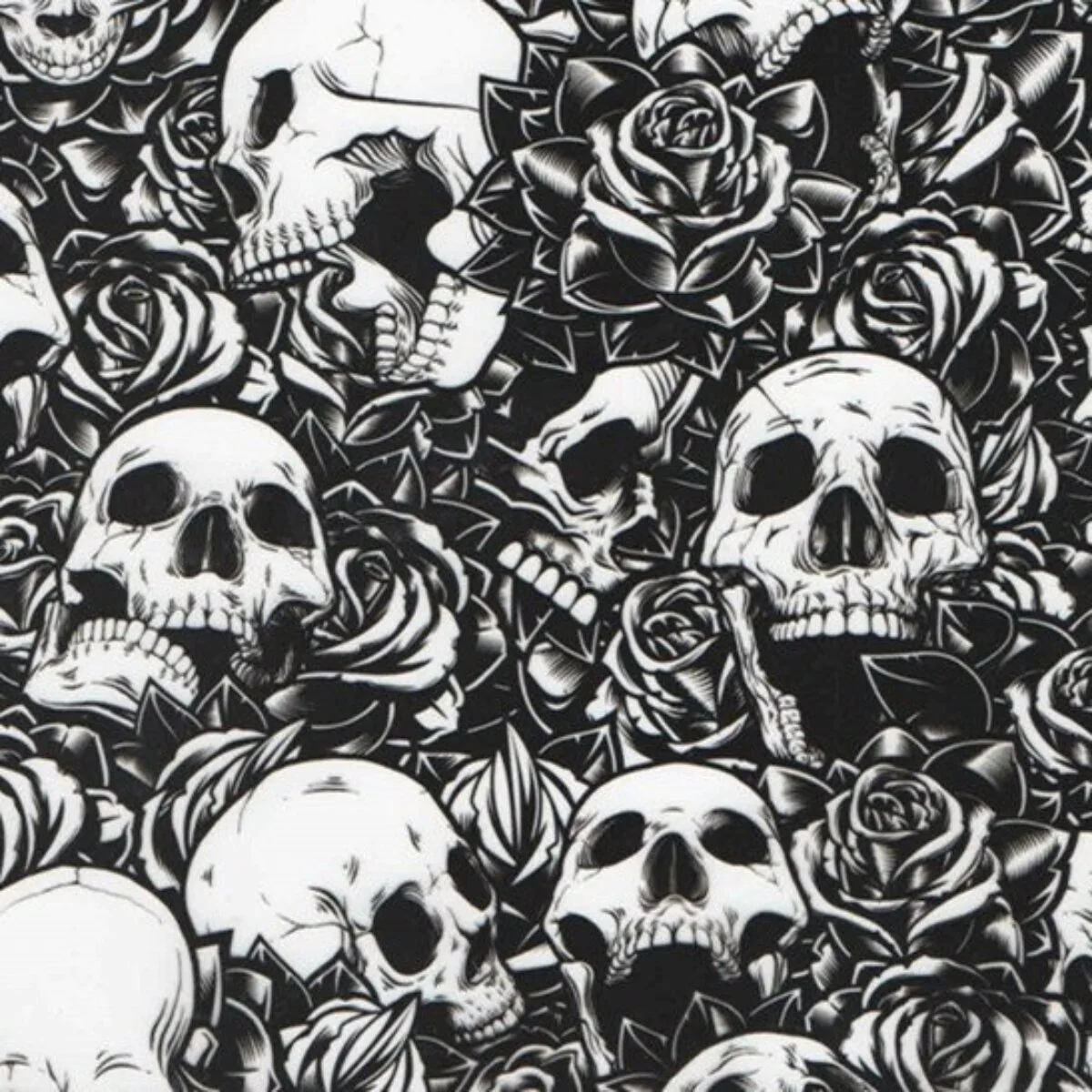 SKULL SK054.1